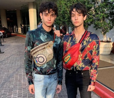 Lucas and Marcus Dobre bio age height