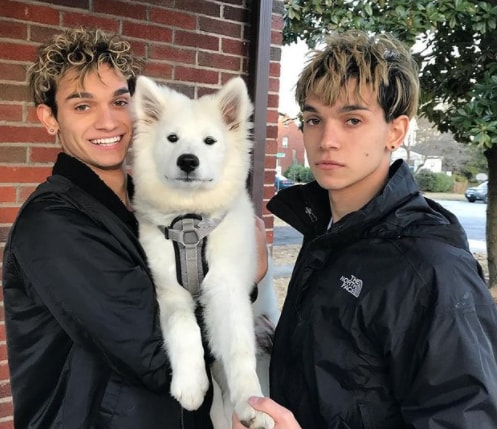 Lucas and Marcus Wiki, Biography, Age, Height, Family, Net Worth, Girlfriends, Parents, Siblings, Phone Number, House,