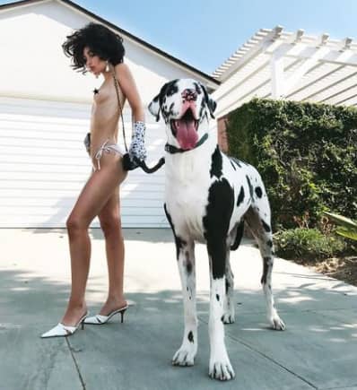 Nadia lee cohen and her pet dog 