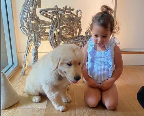  Laura Toggs's child and her pet dog