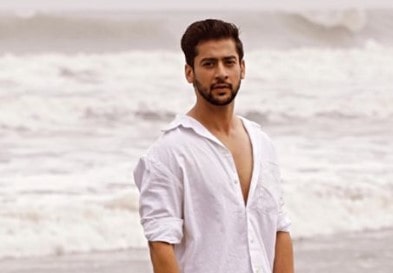 Paras Arora Age, Height, Net Worth,  Family, Girlfriend, Movies, Tv Shows, Twitter, Instagram, Youtube, Biography, Wiki