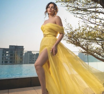 Shama Sikander is wearing a gown 