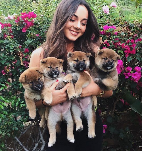 Ava Allan with her puppies