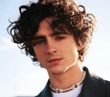 Who is Timothee Chalamet? Age, Net Worth, Height, Family, Bio, Wiki